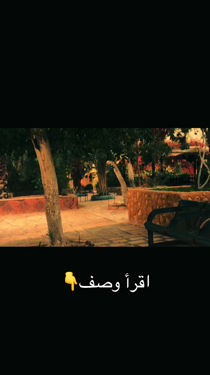 @𓂀 مِـرْشَـدُه الـحَـيـاة𓂀
