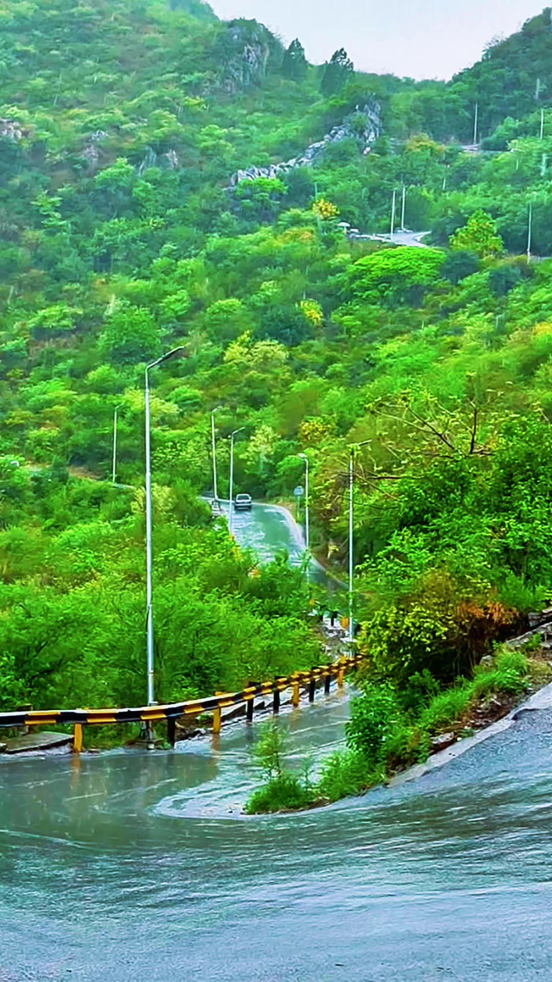 @Discover Islamabad 🌳🌲