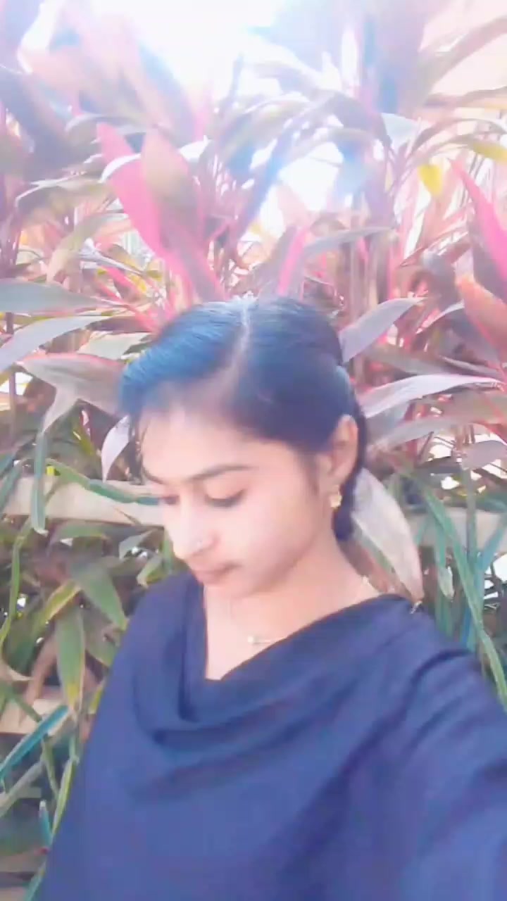 @pavi
