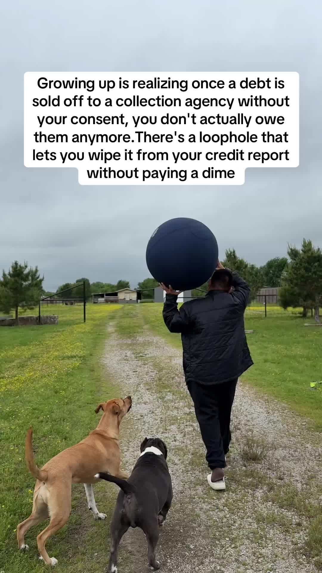 @WealthBuilderJosh🇺🇸