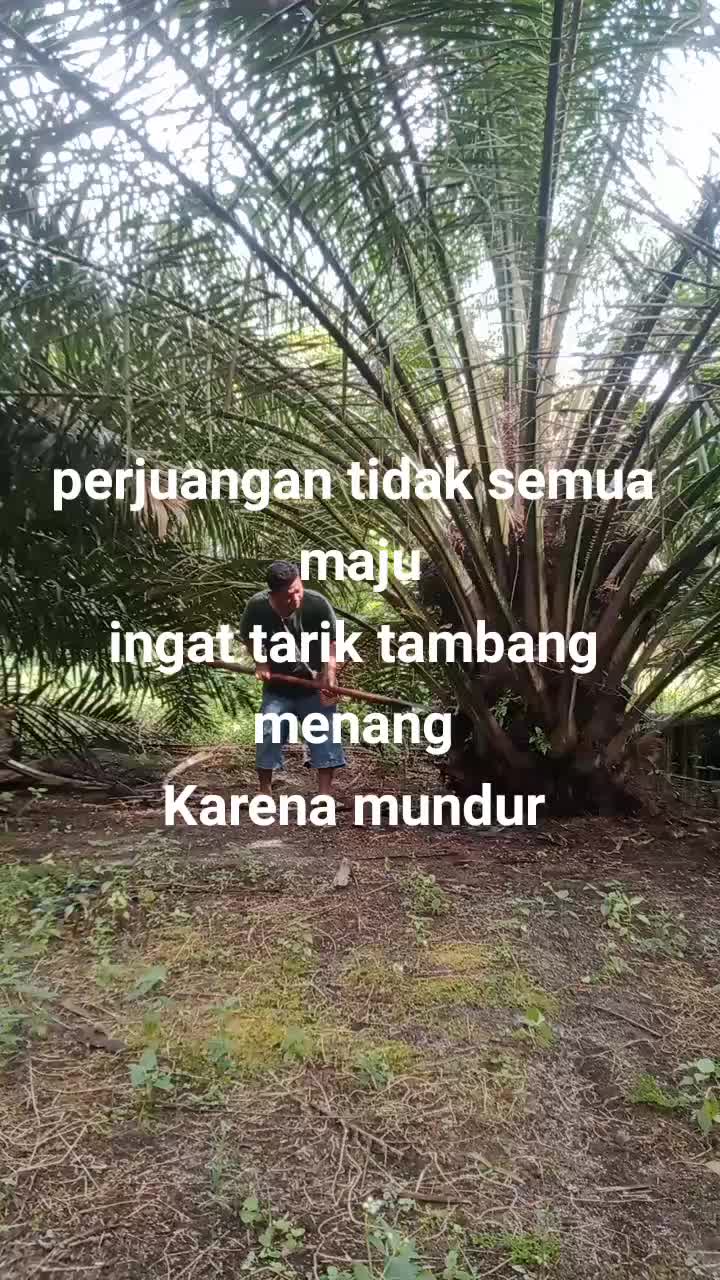 @prengki