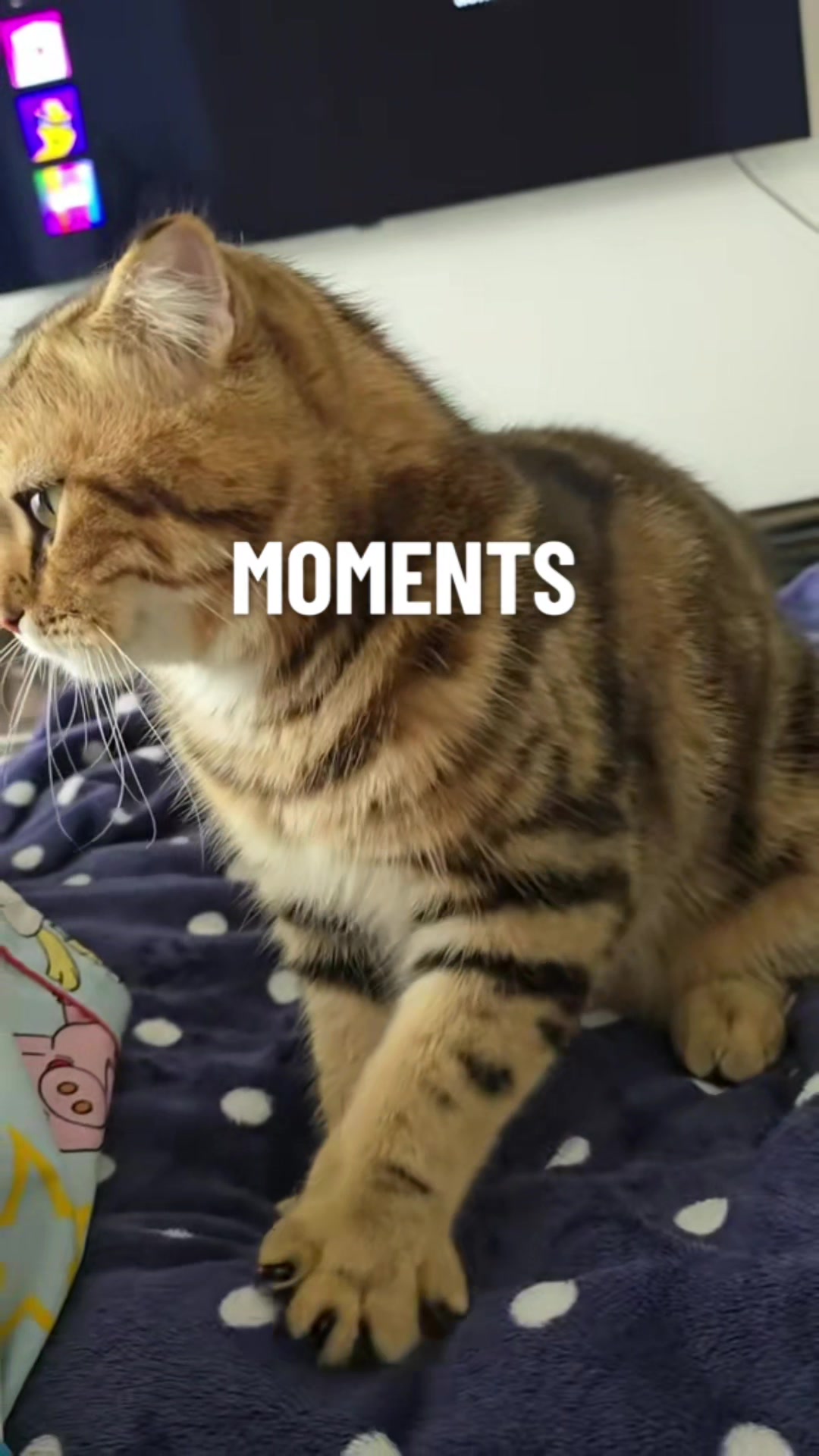 @Nonstop239