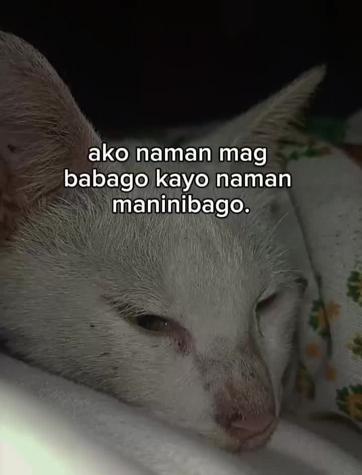 @NICOLE🌷