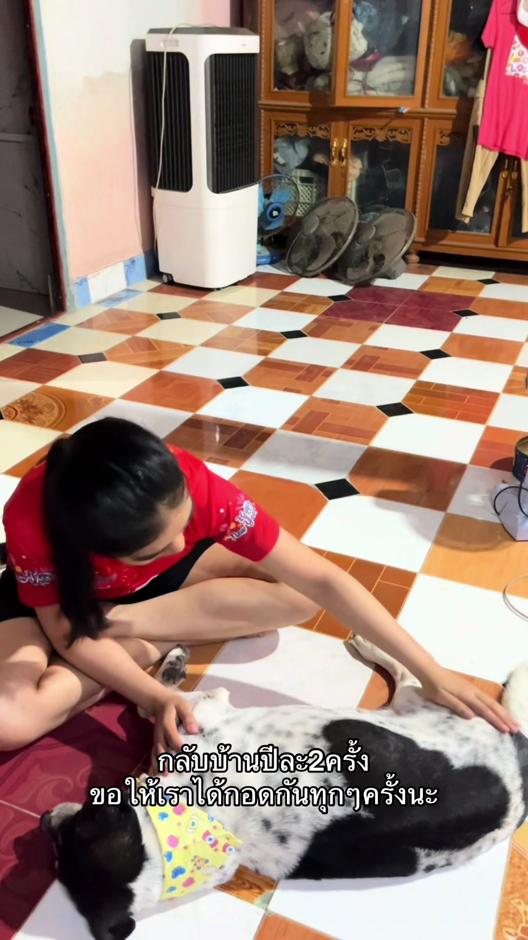 @เเตงไท ชื่อหมา.