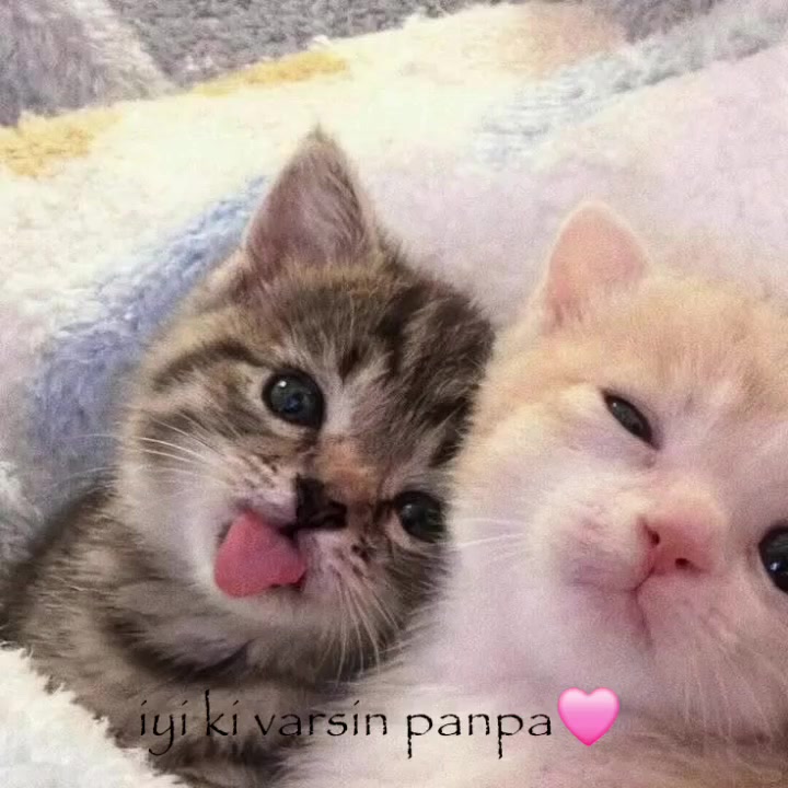@poser_baskani4
