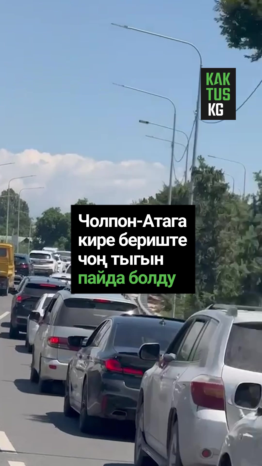 @Kaktus KG