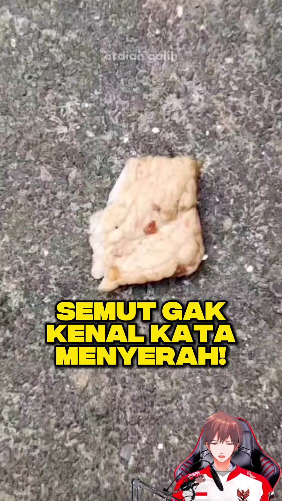 @Ardian Galih 🐜