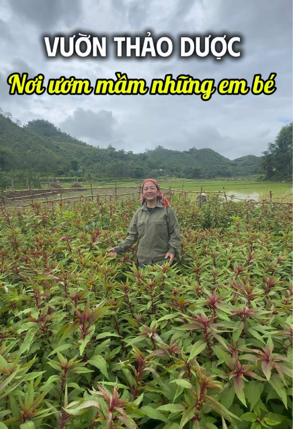 @Cô Sinh Thảo dược Cao Lan