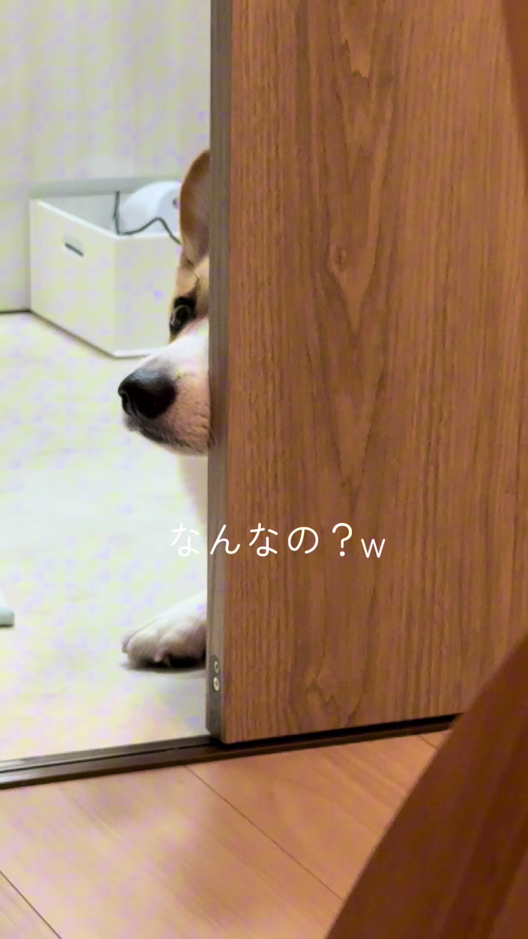 @トロン