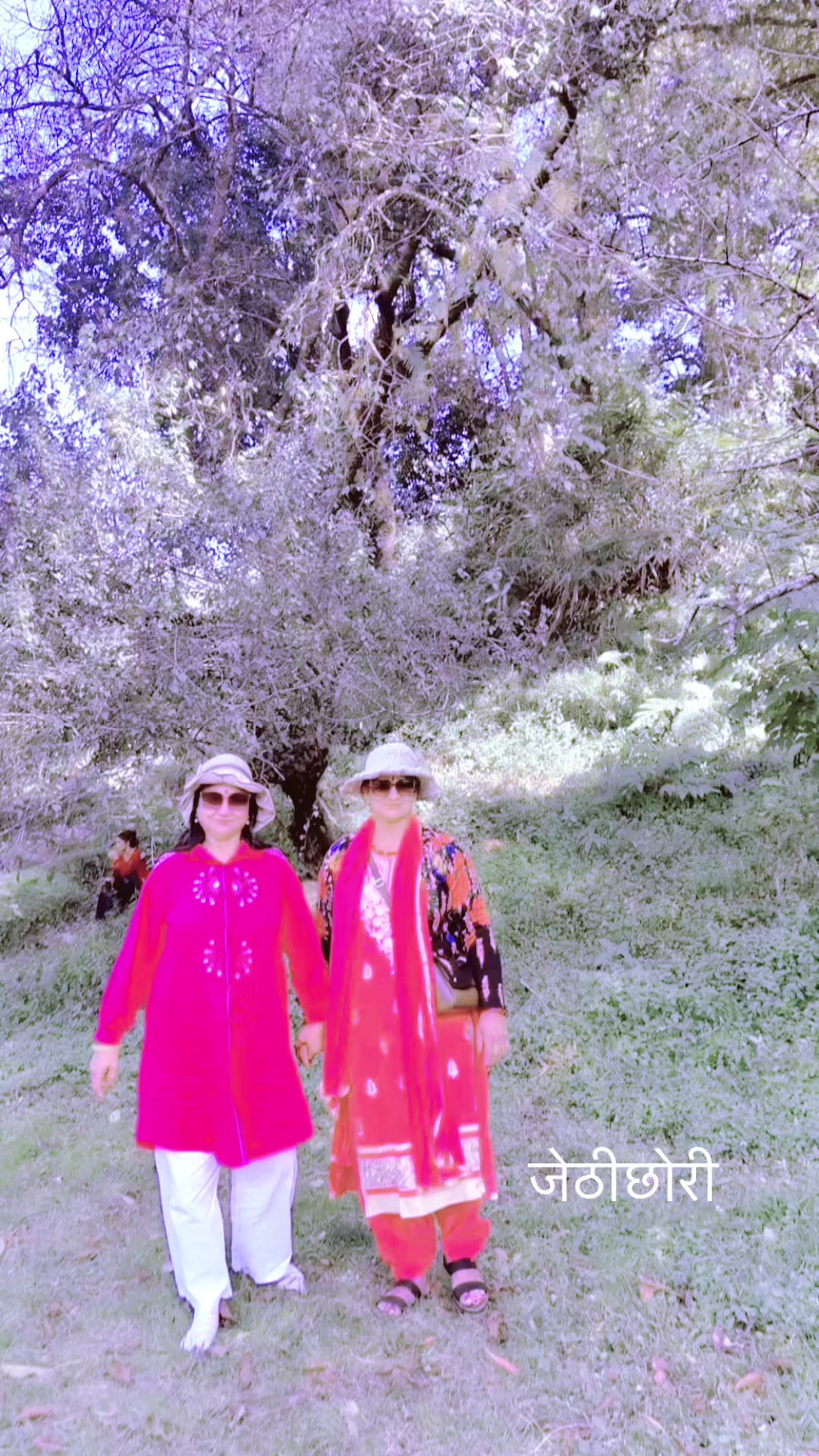 @Gita Paudel