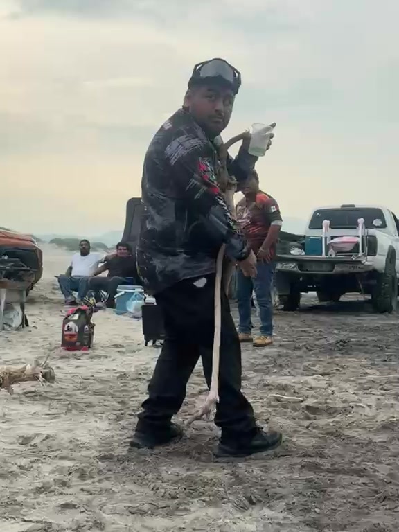 @Cóndor Rodríguez