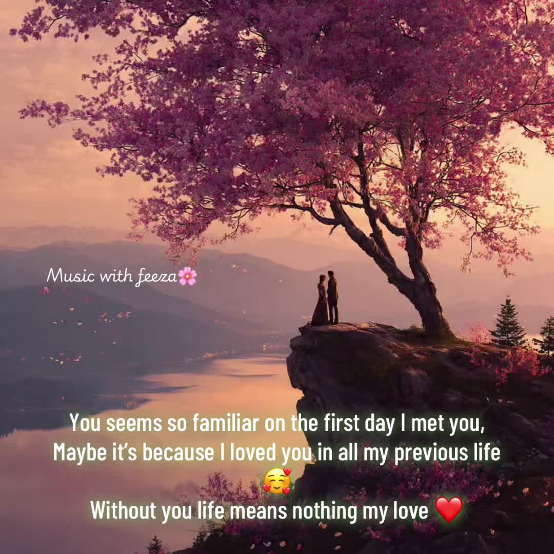 @🥀🌸Music with feeza🌸🥀