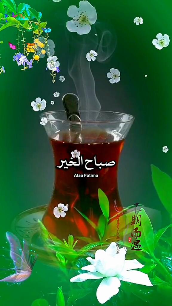 @Alaa Fatima