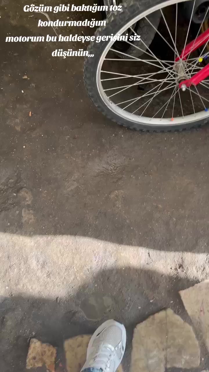 @Ozii🐊