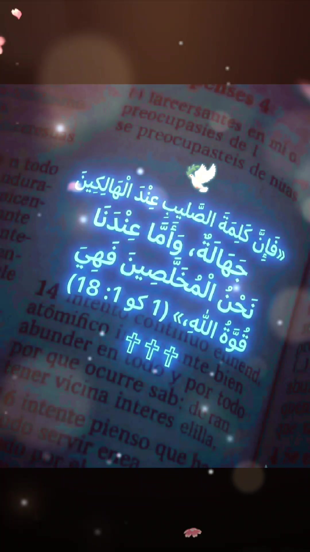 @سعد سليمان