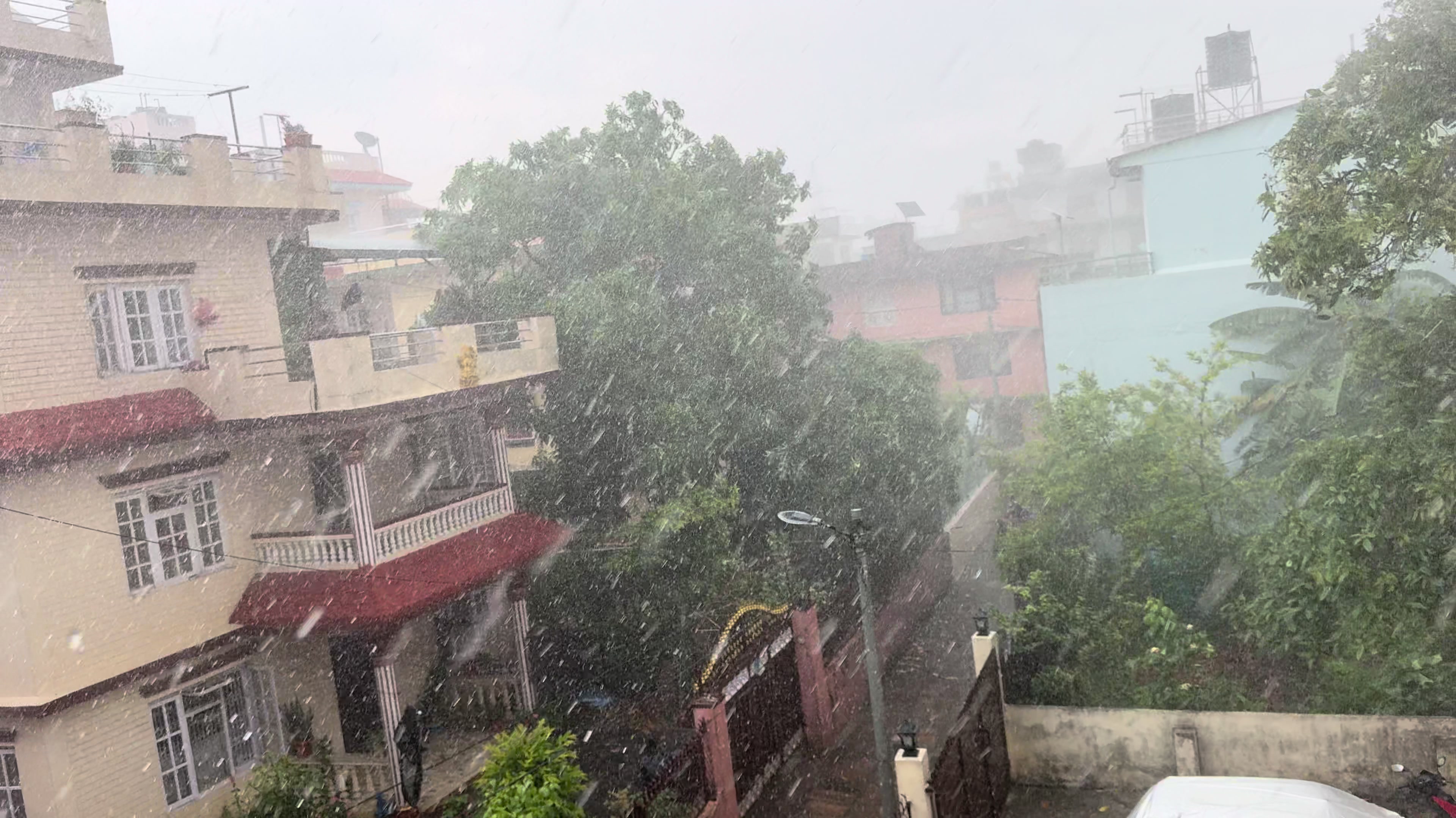 @🇳🇵घायल मुटु🇨🇦