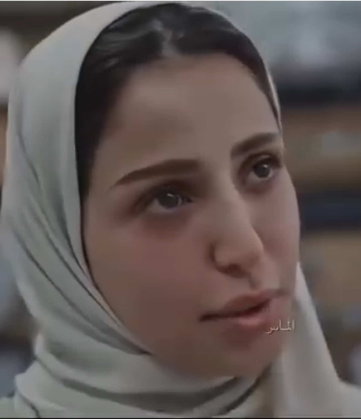 @raghdalibrahim