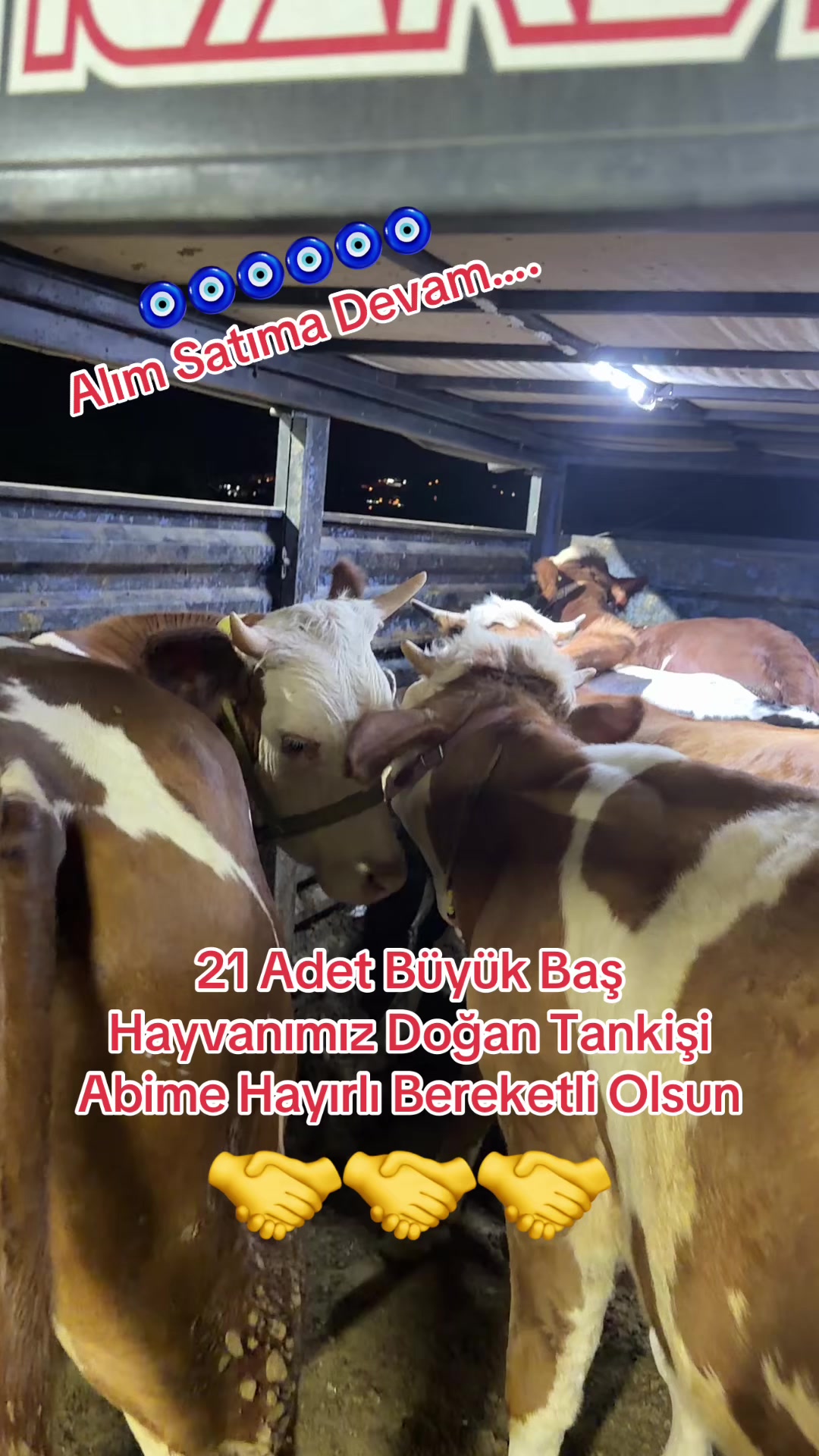 @Cemil Tekkanat