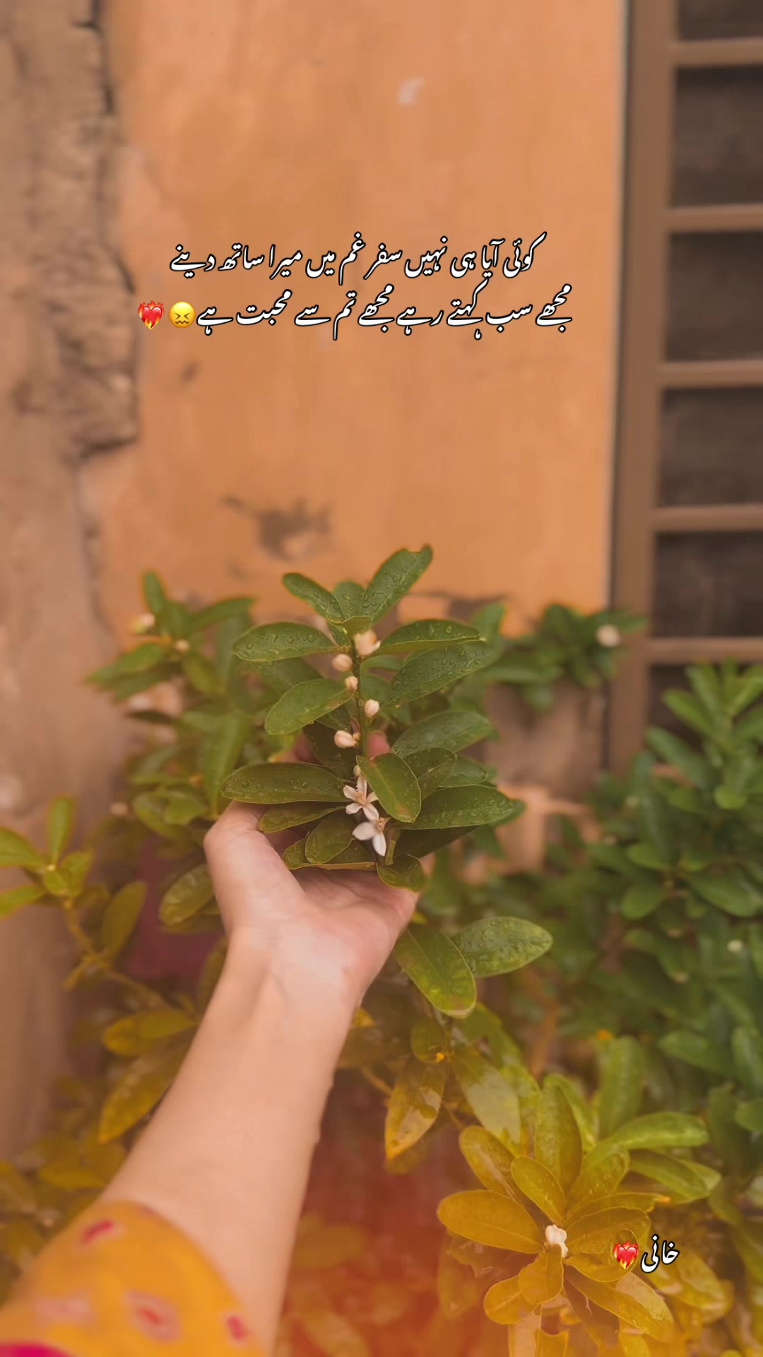 @خانی❤️🔥