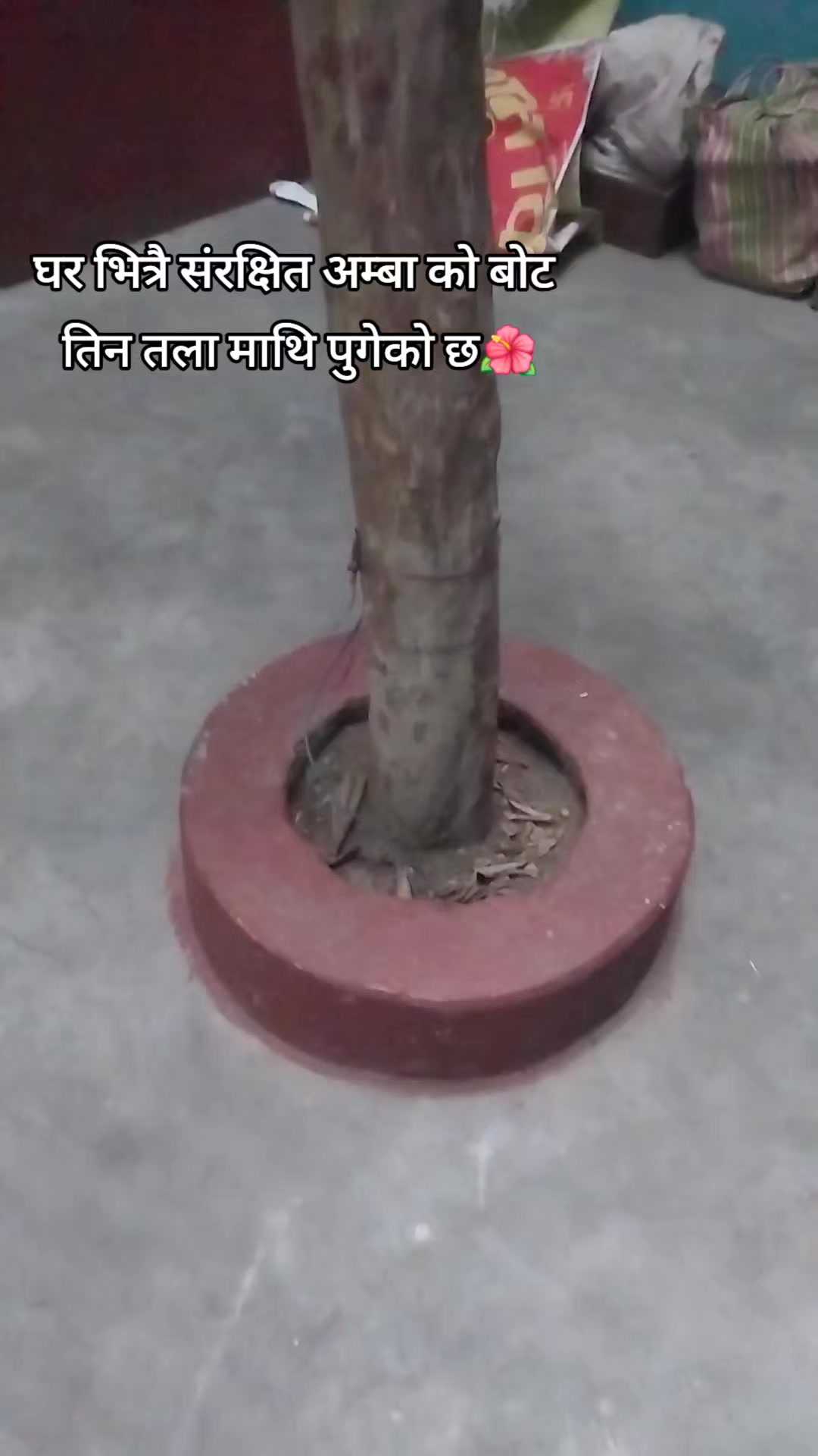 @Nirmala Khanal Adhik