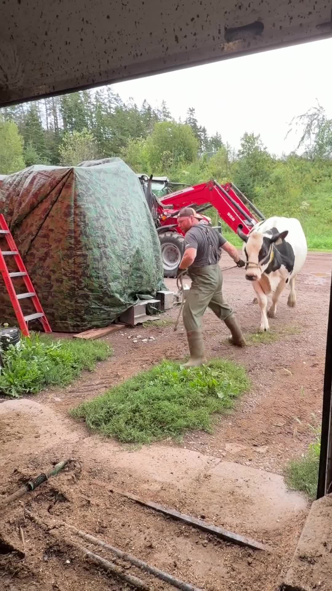 @The  Farmers Wife