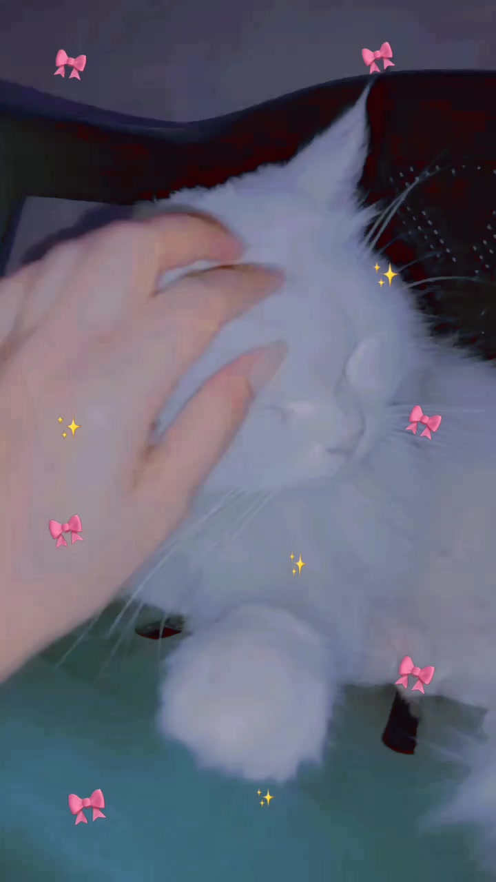 @𝔸𝕟𝕟𝕚𝕖 ℚ𝕦𝕖𝕖𝕟🎀