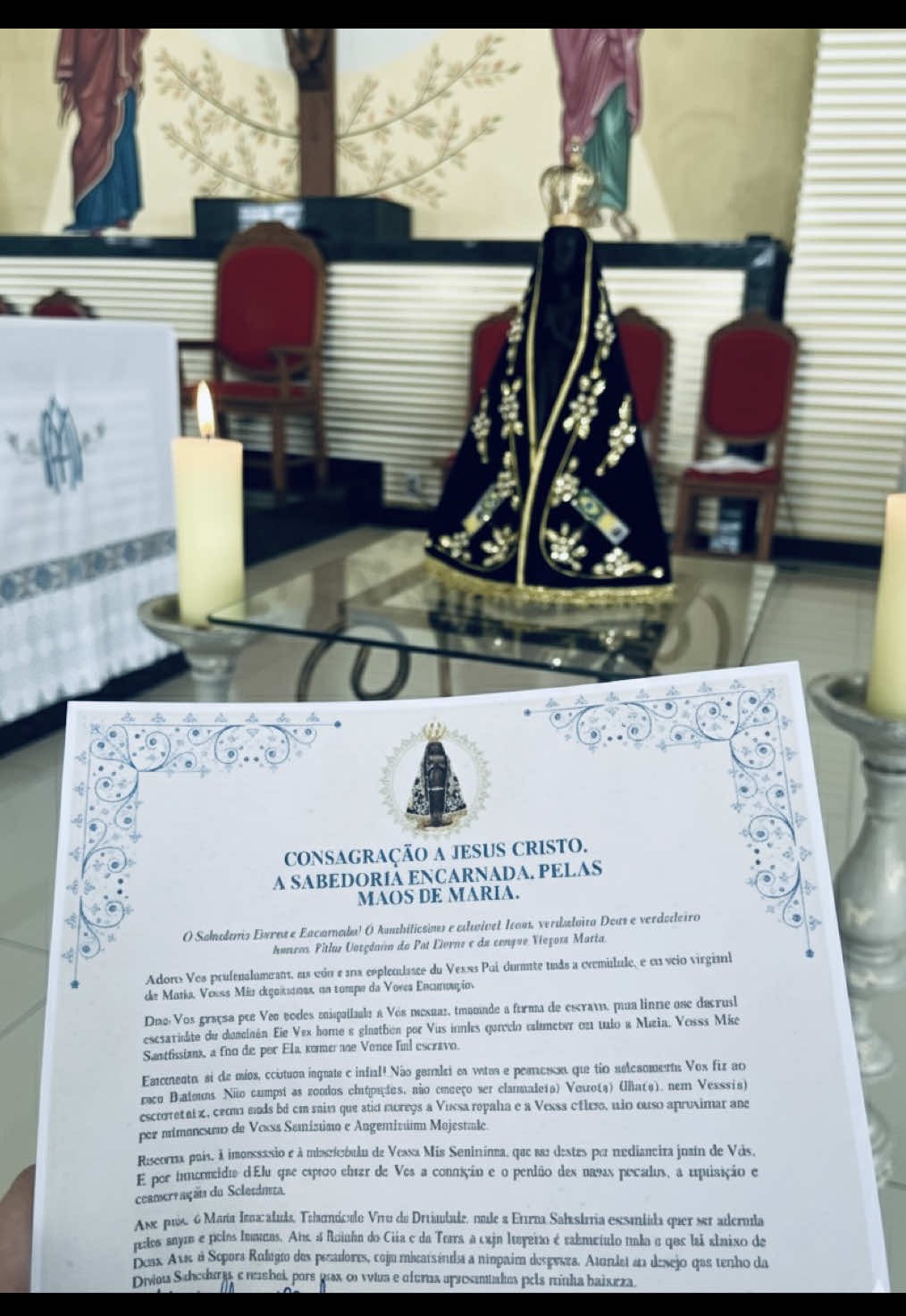 @clara 🇻🇦