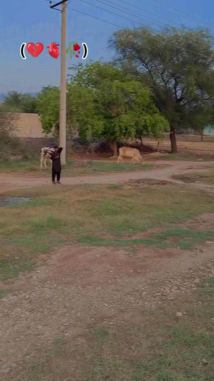 @Ibrar Khan