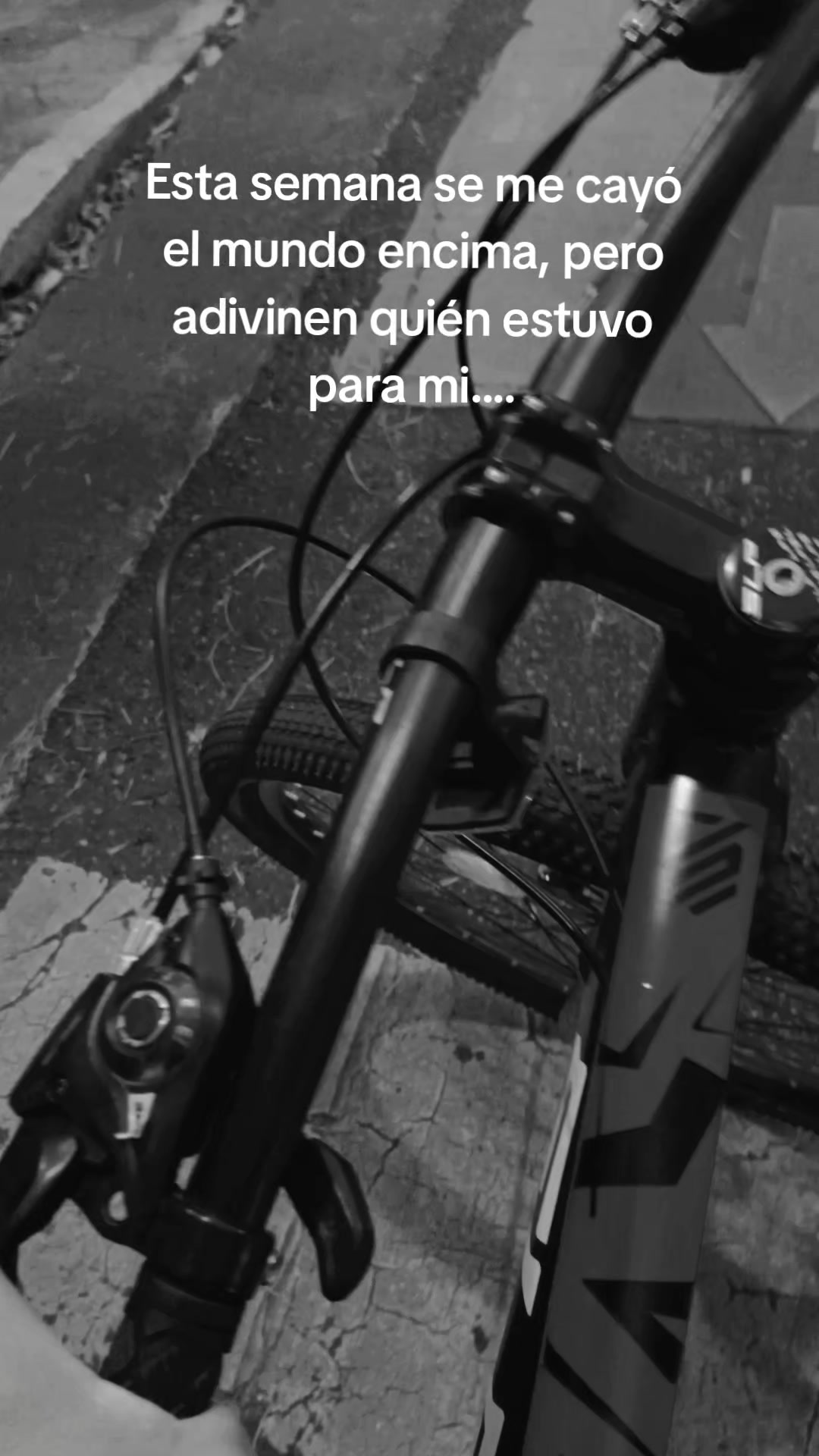 @Xanderr✓