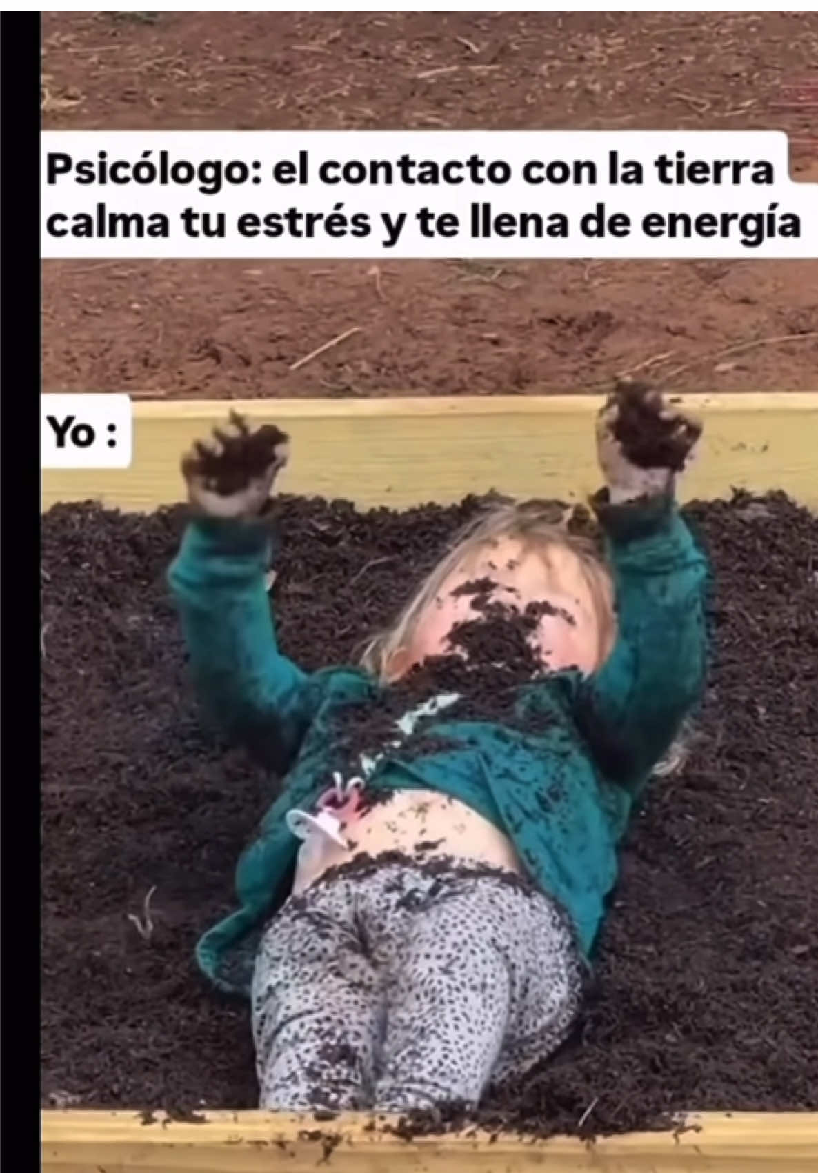 @Greenprincessliveplants