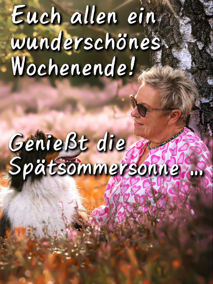 @Gestüt Amal - Anita Scheele