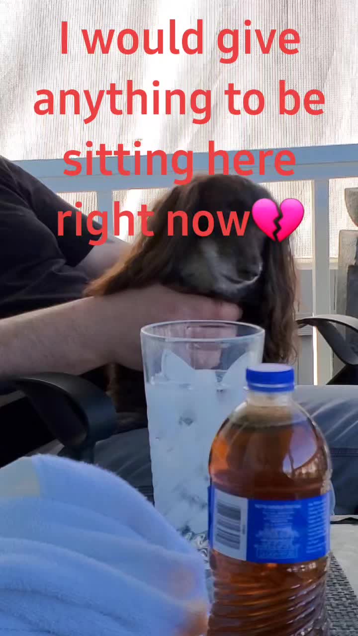 @user5668453465089