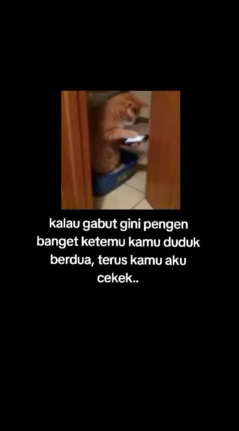 @ZA STory