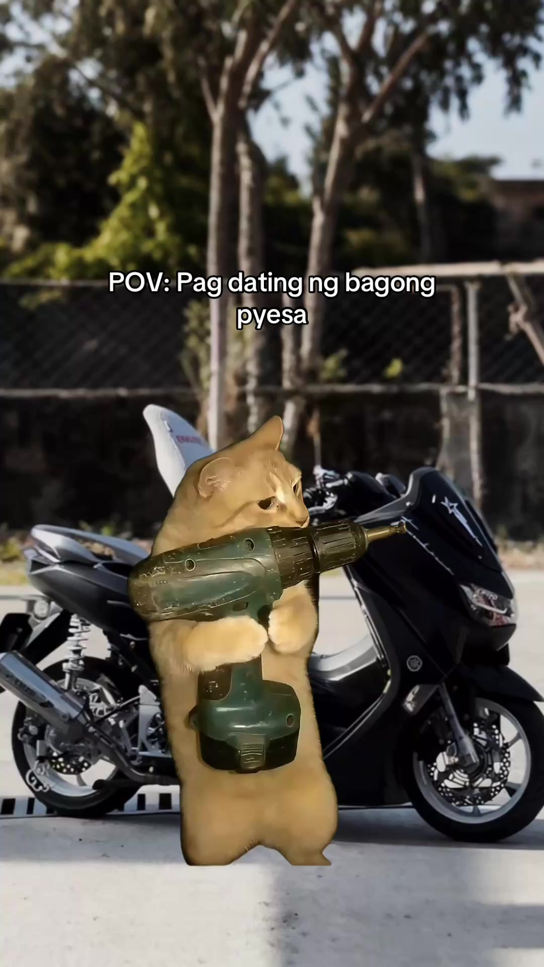 @๐ช๐๐๐๐