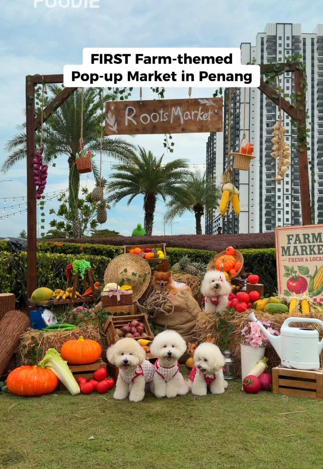 @Penang Foodie