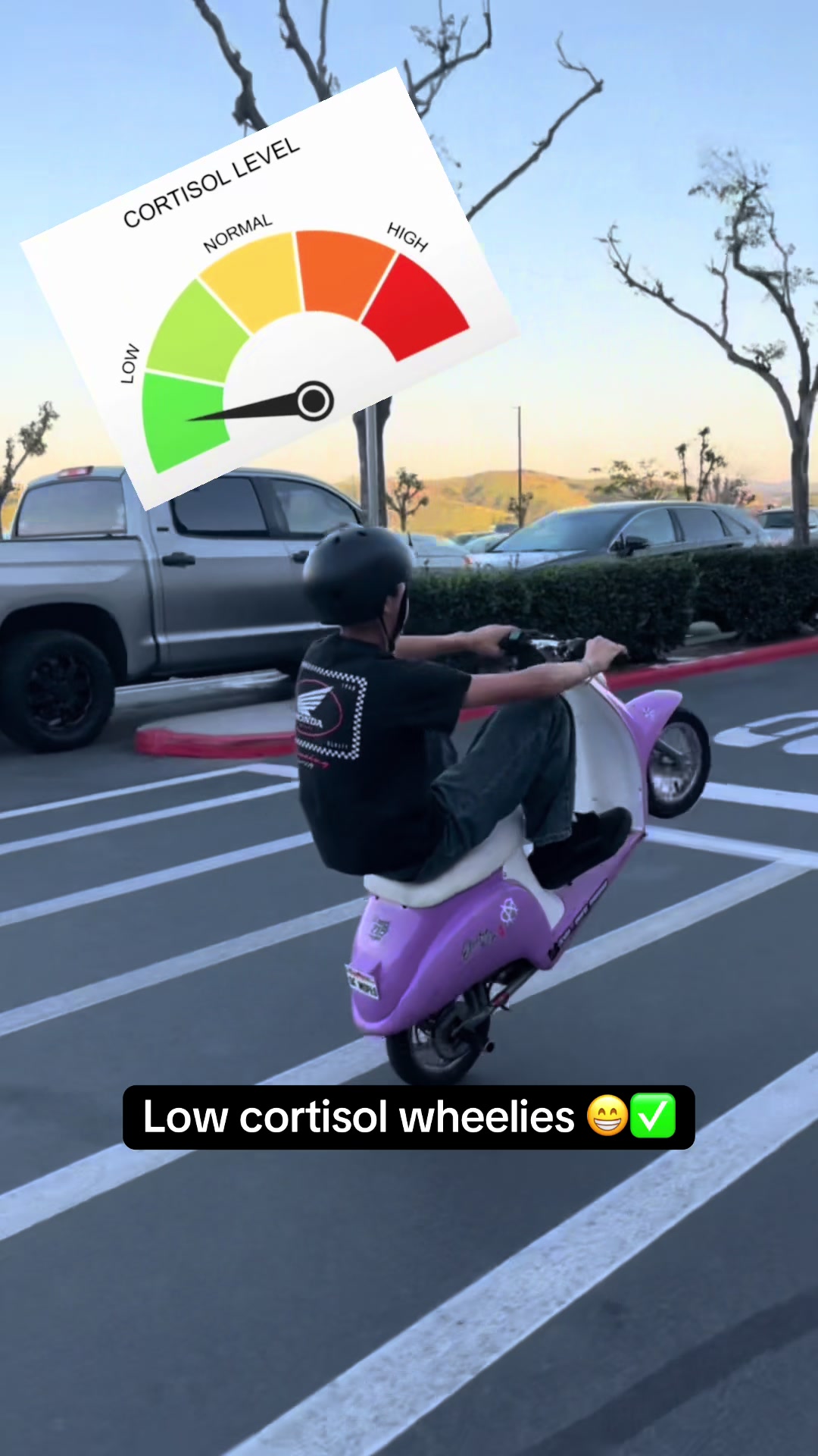 @da_purp_moped