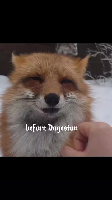 @SLAX