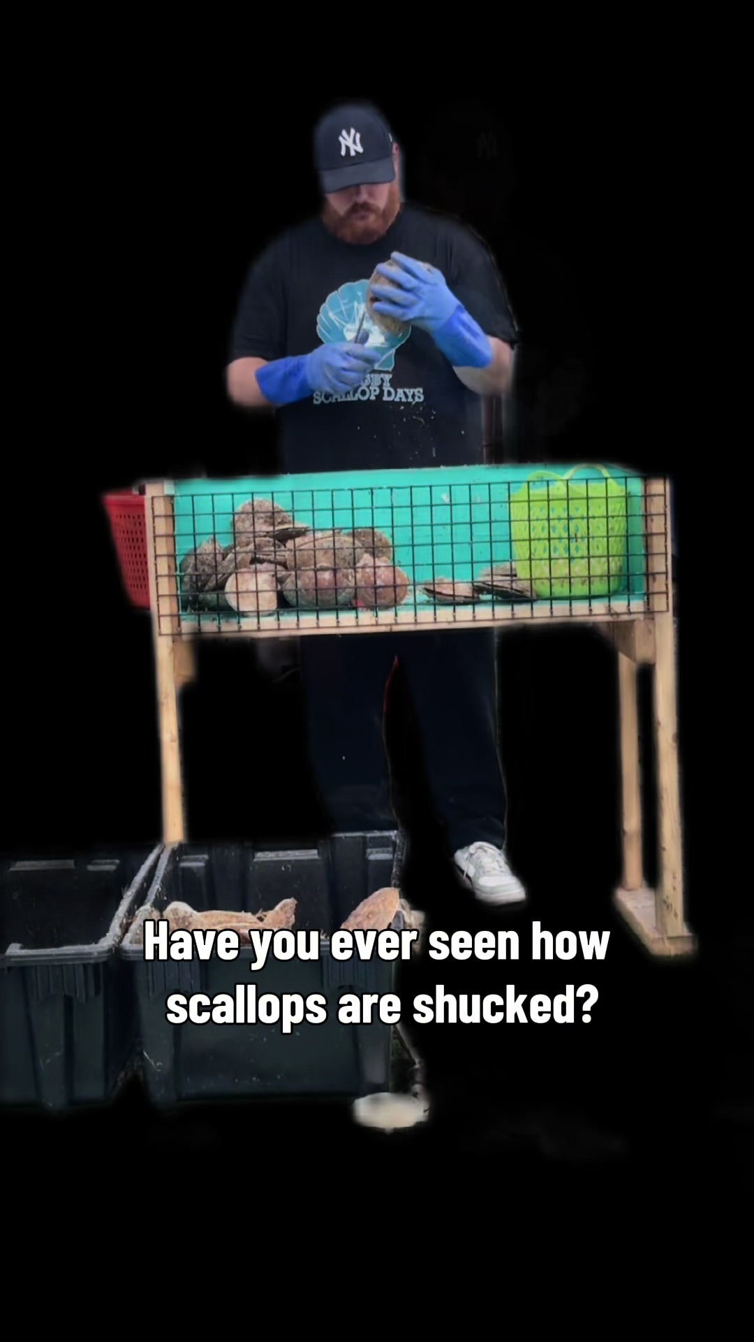 @Scotianmotion
