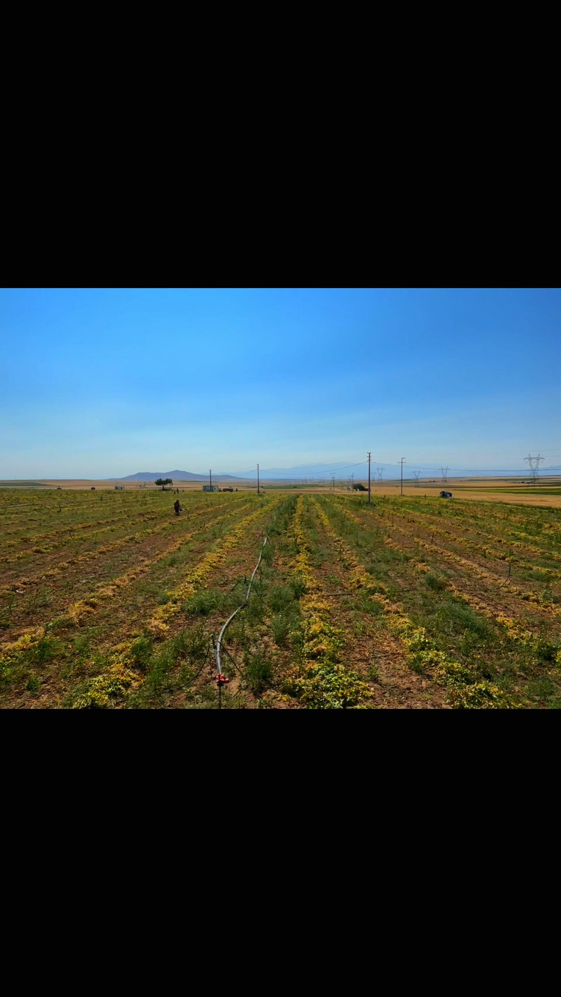 @༺🕊️𝙑𝙖𝙩𝙖𝙣 𝙎𝙚𝙫𝙙𝙖𝙨ı