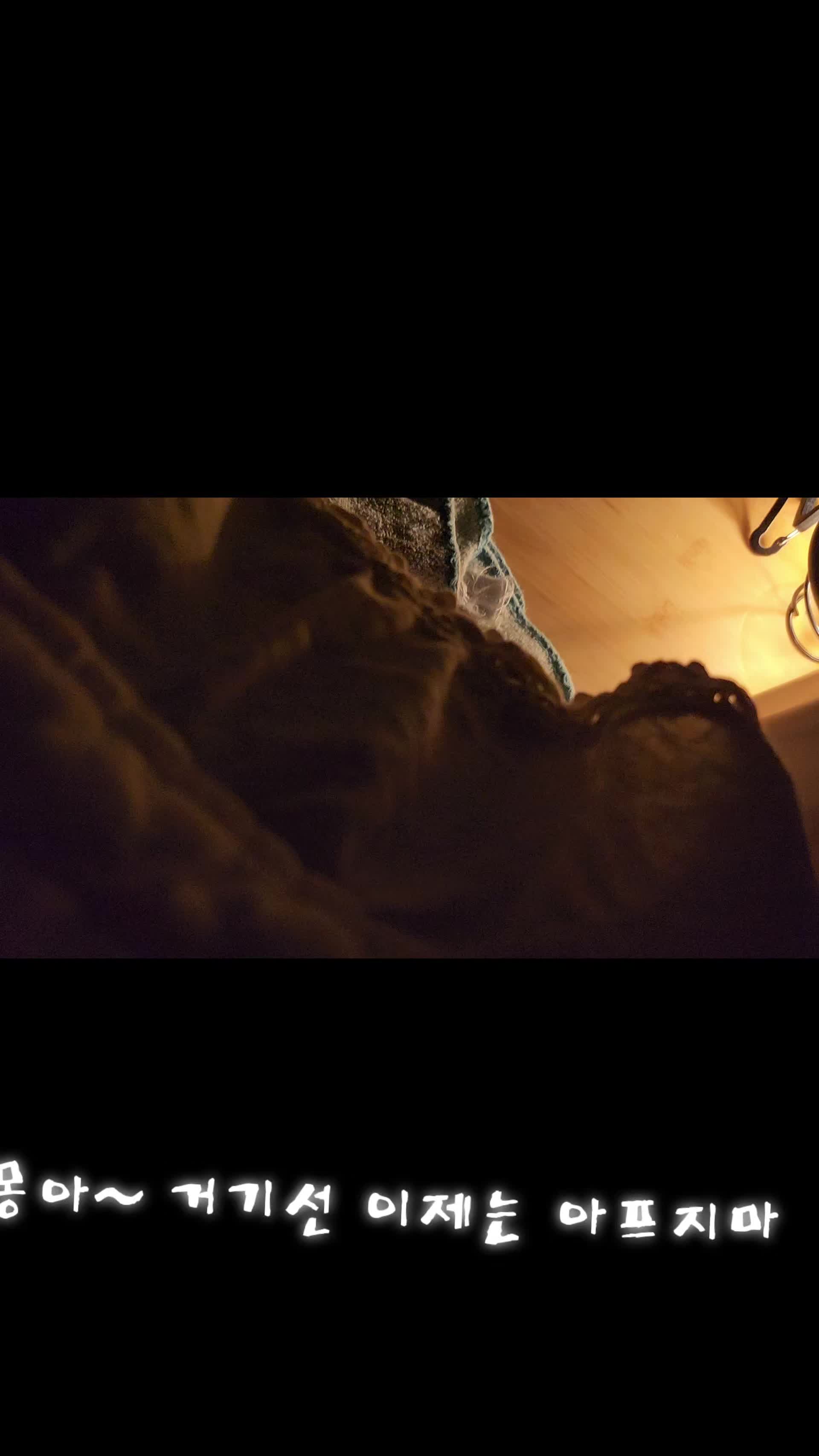 @몽이쒸네~푸들