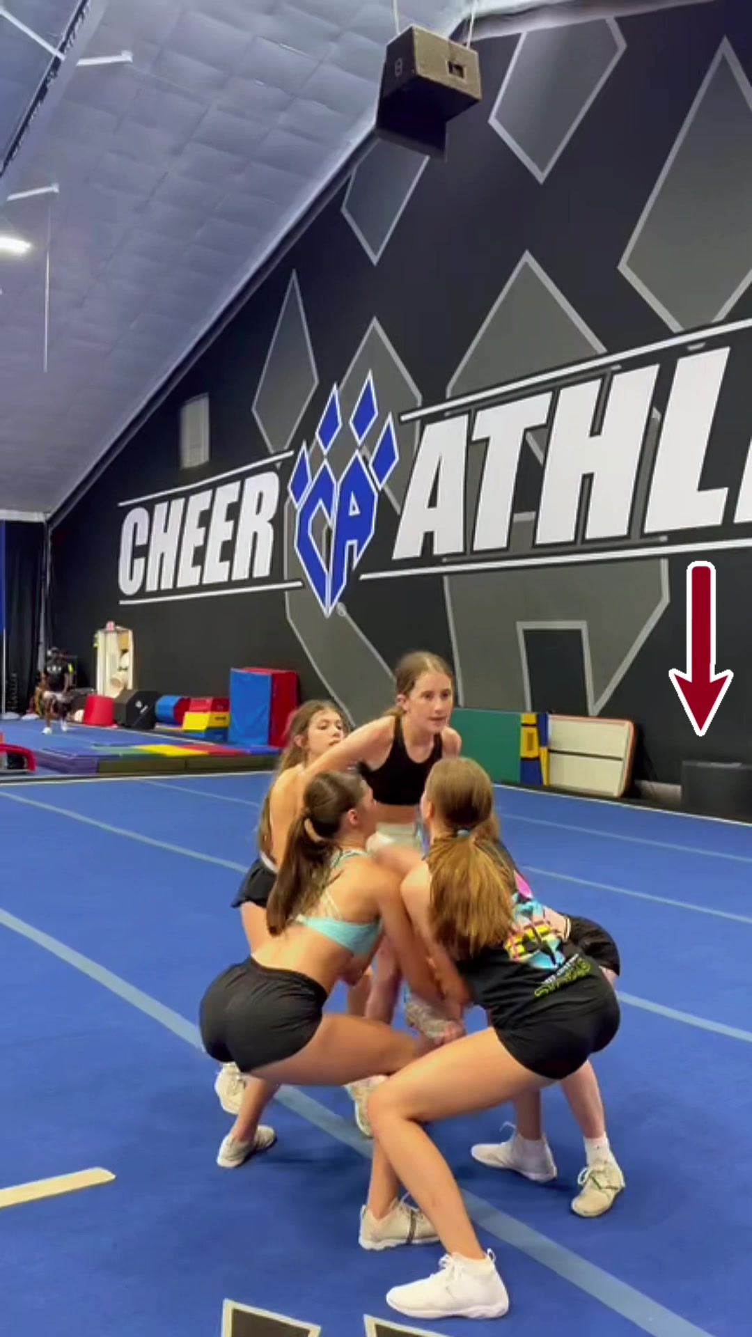 @savycheertoo