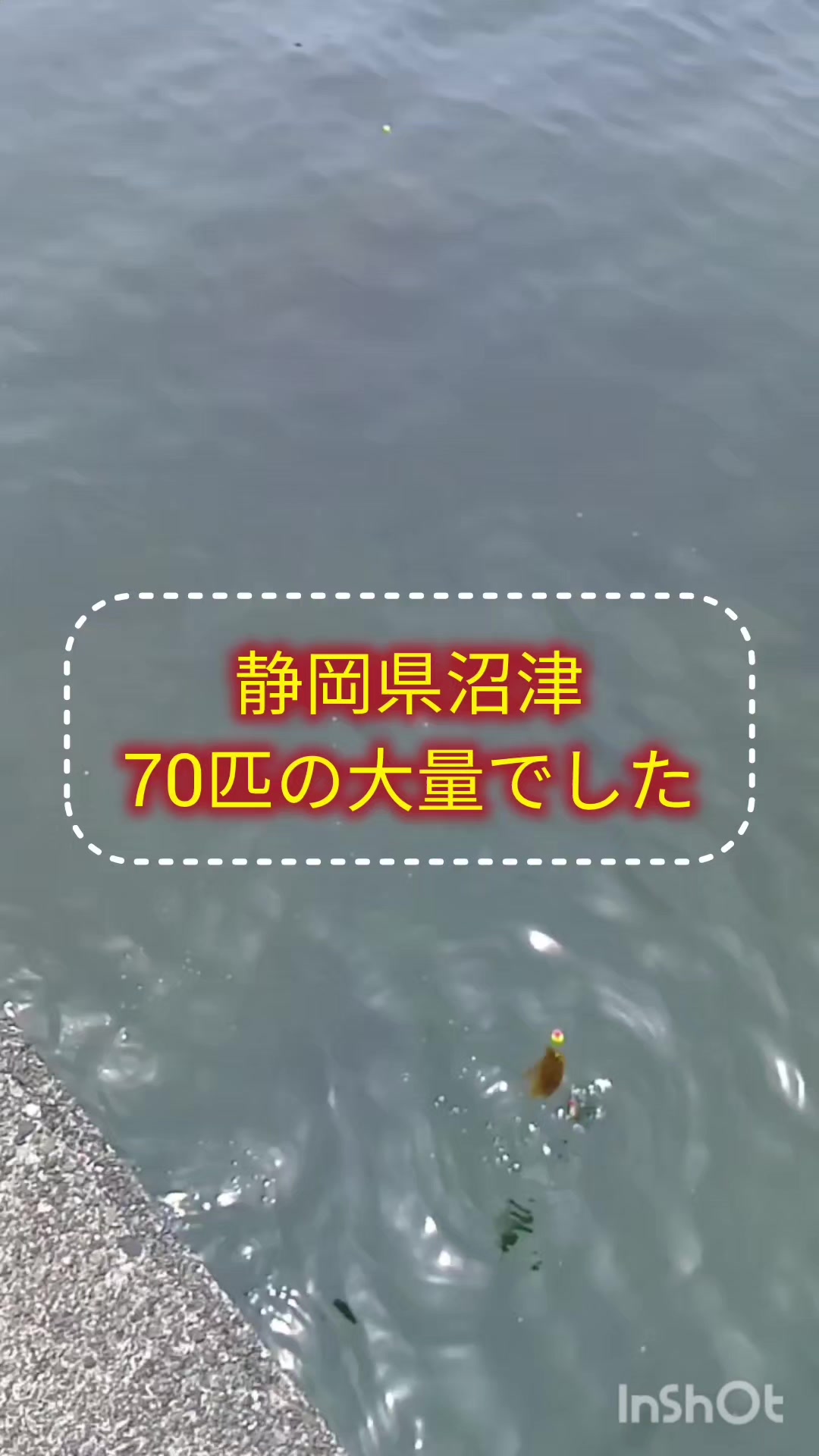 @ミッキーしゃちょー