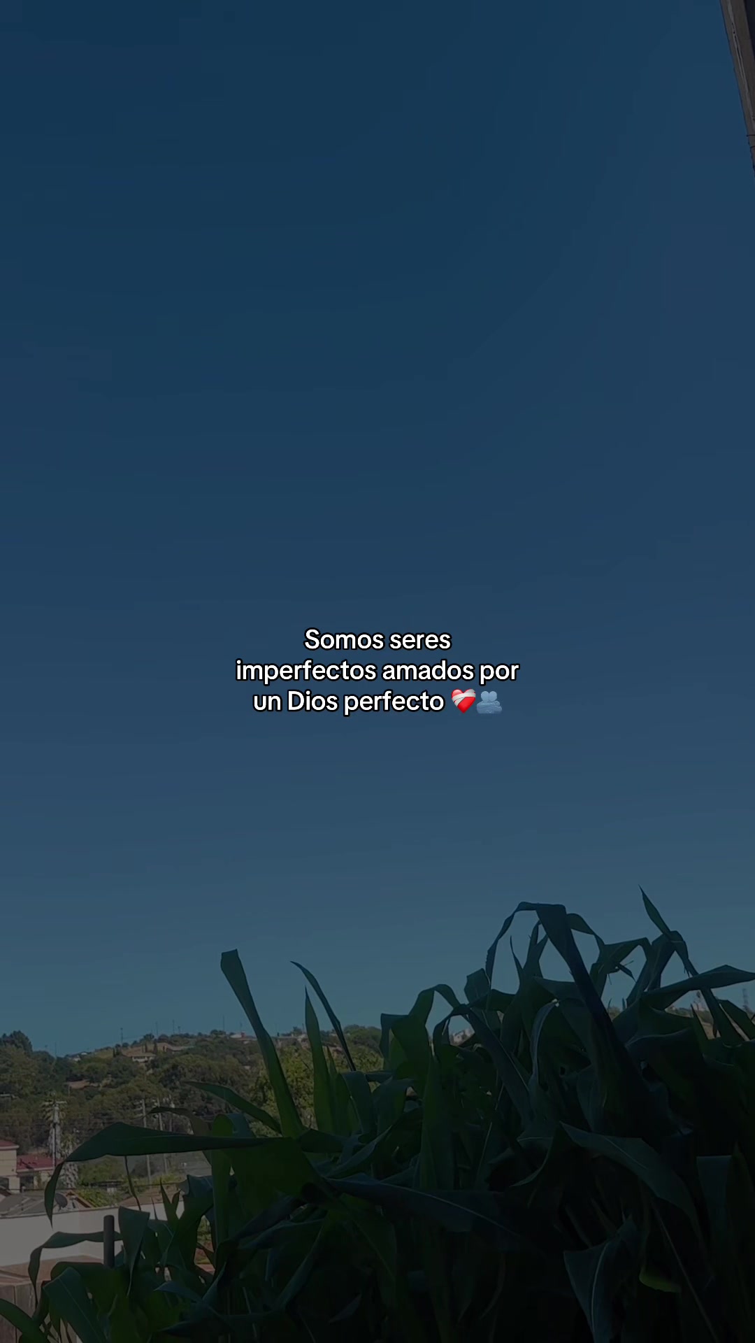 @🎶M&uacute;sicas👑Cristianas🎶