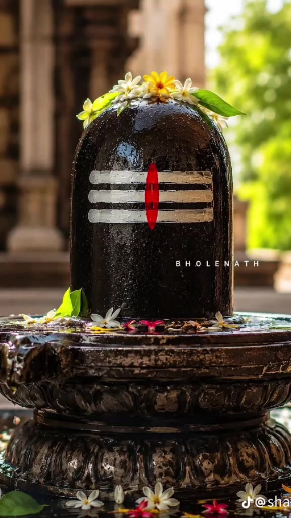 @রাজ চৌধুরী রাজ