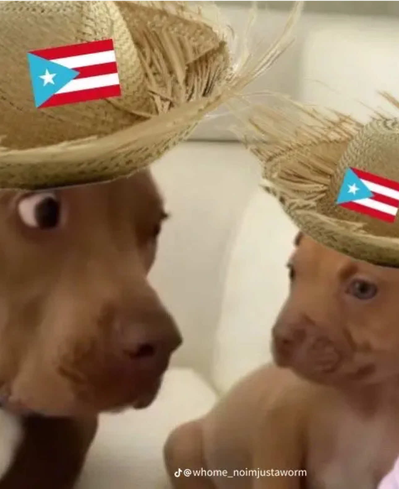 @BNTH_Lisa 🇵🇷
