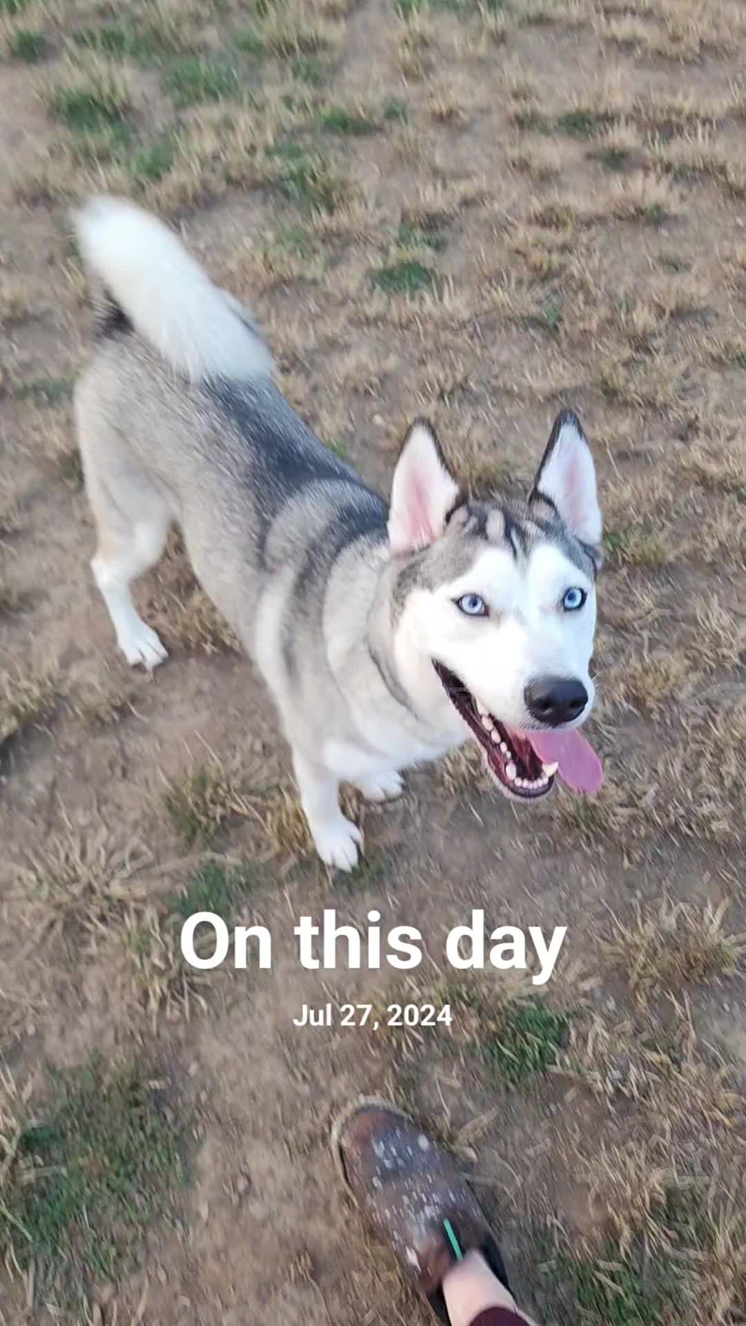 @PDX_DILL
