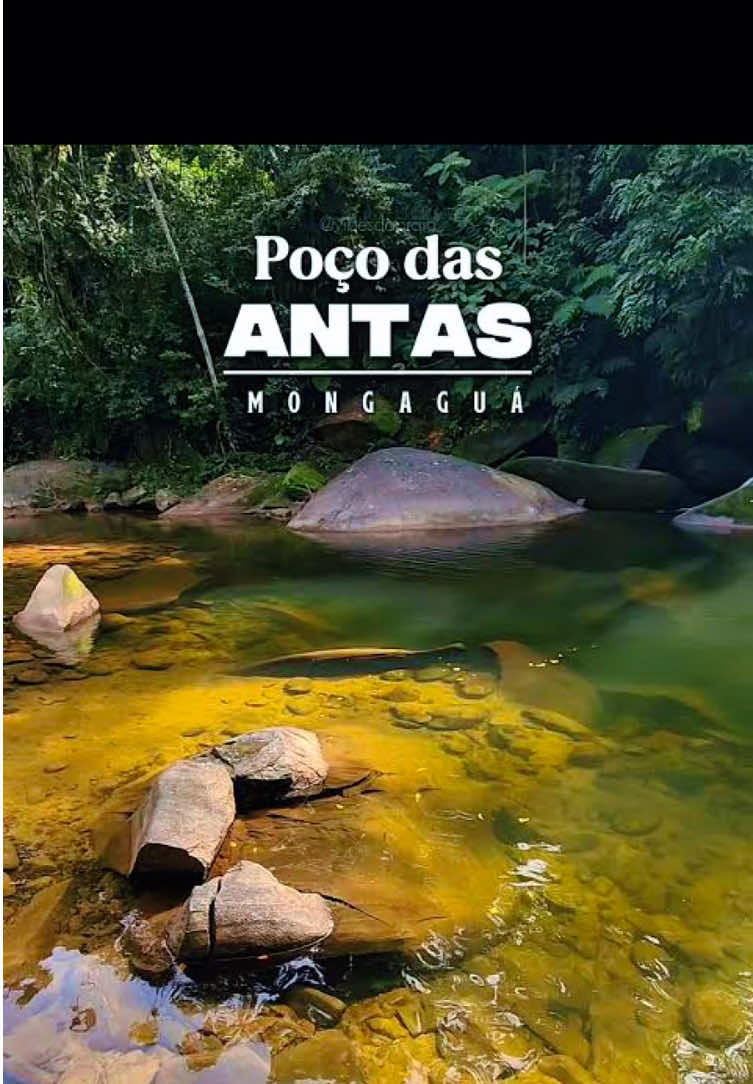 @Thomas Eduardo LS I