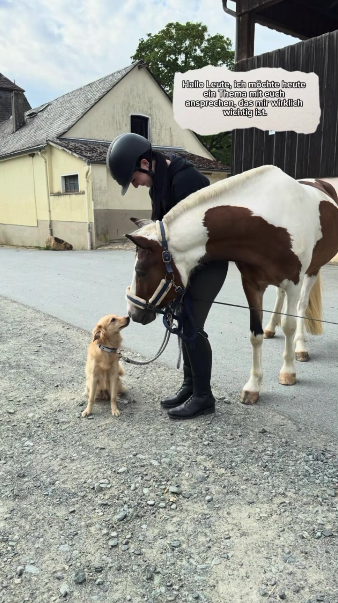 @annalisa.equestrian