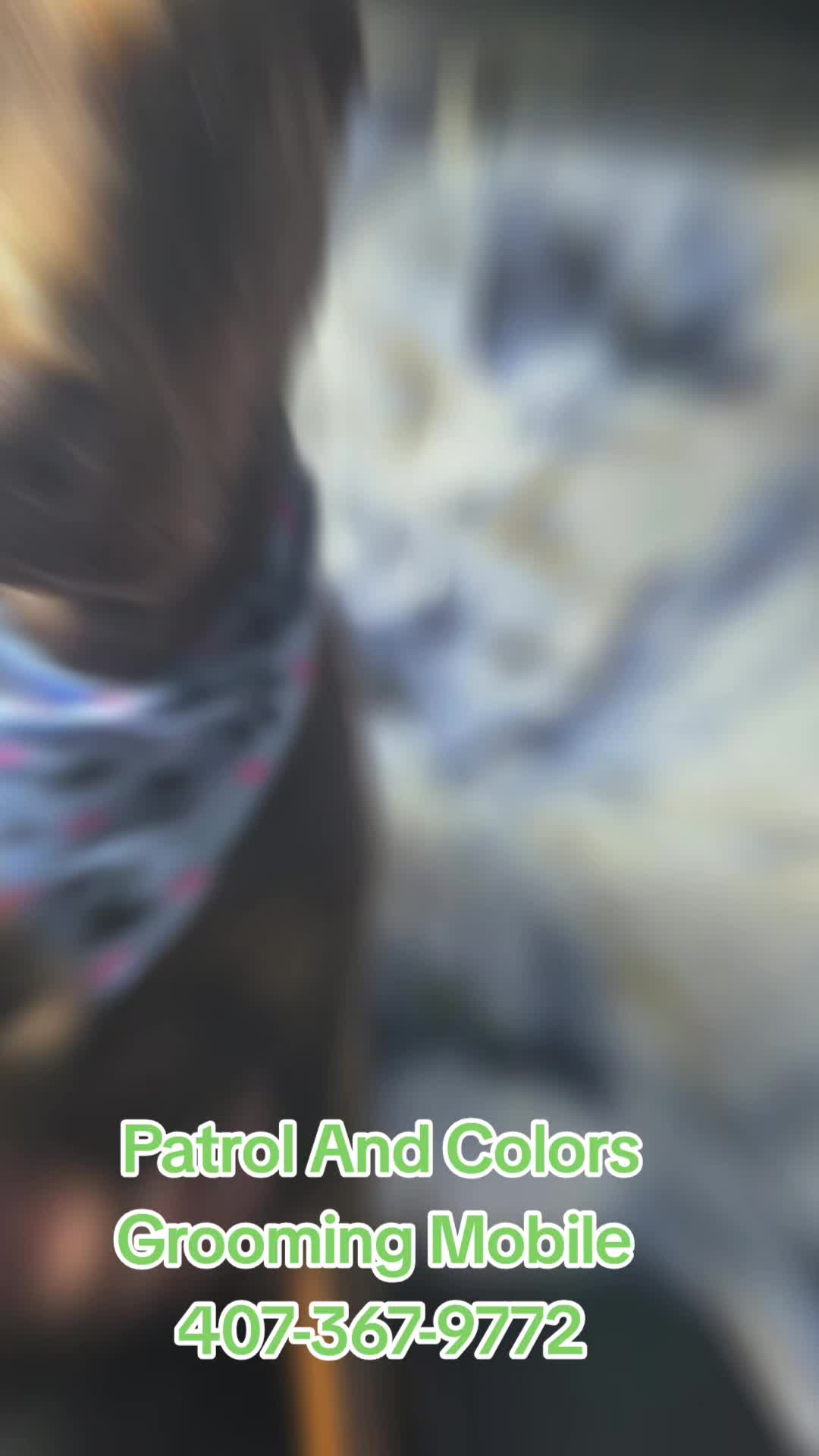 @Patrol and colors Grooming LLC