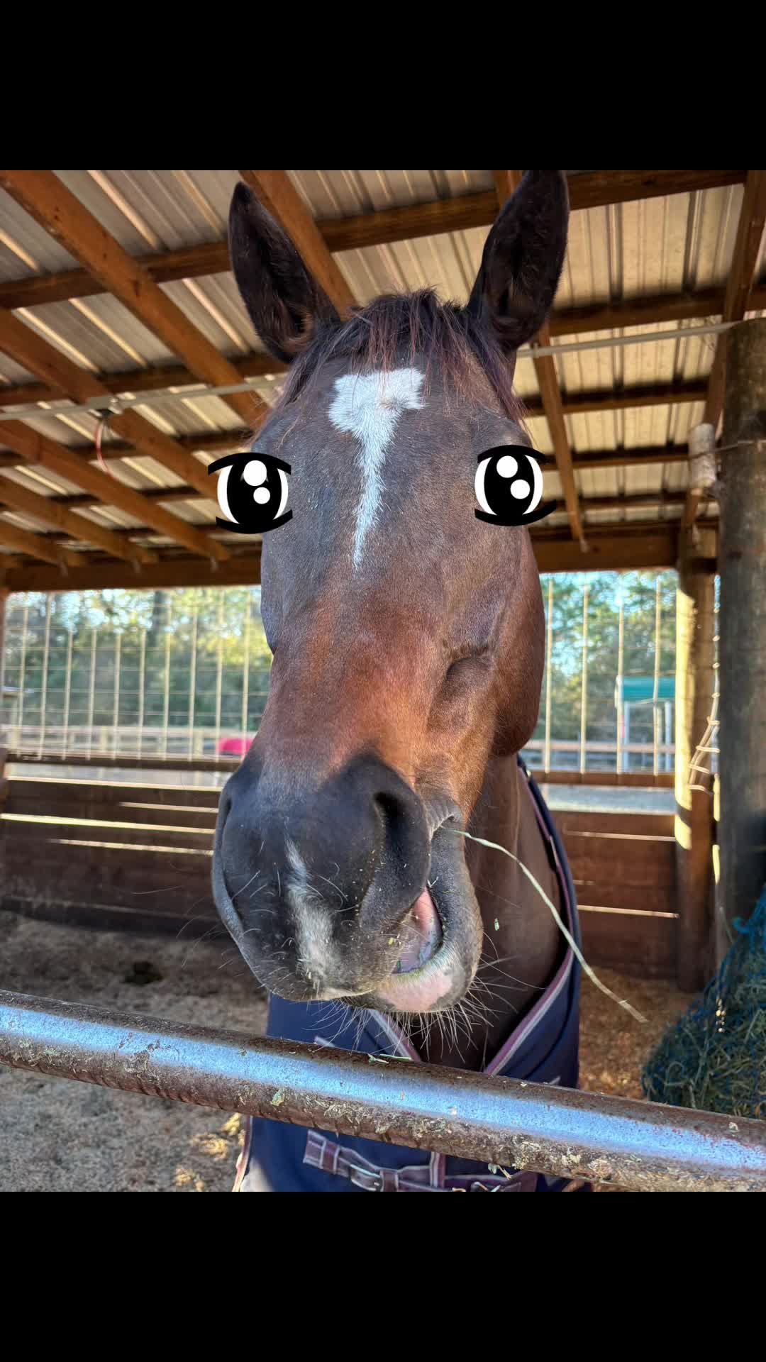@😻